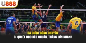 Cá cược bóng chuyền: Bí quyết đọc kèo chuẩn, thắng lớn nhanh